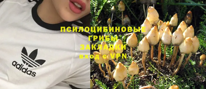 Галлюциногенные грибы Magic Shrooms  Калязин 